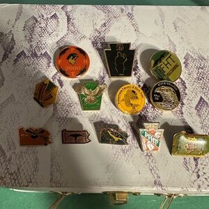 Falconry Vintage Pin Collection from PFHT falconry club.